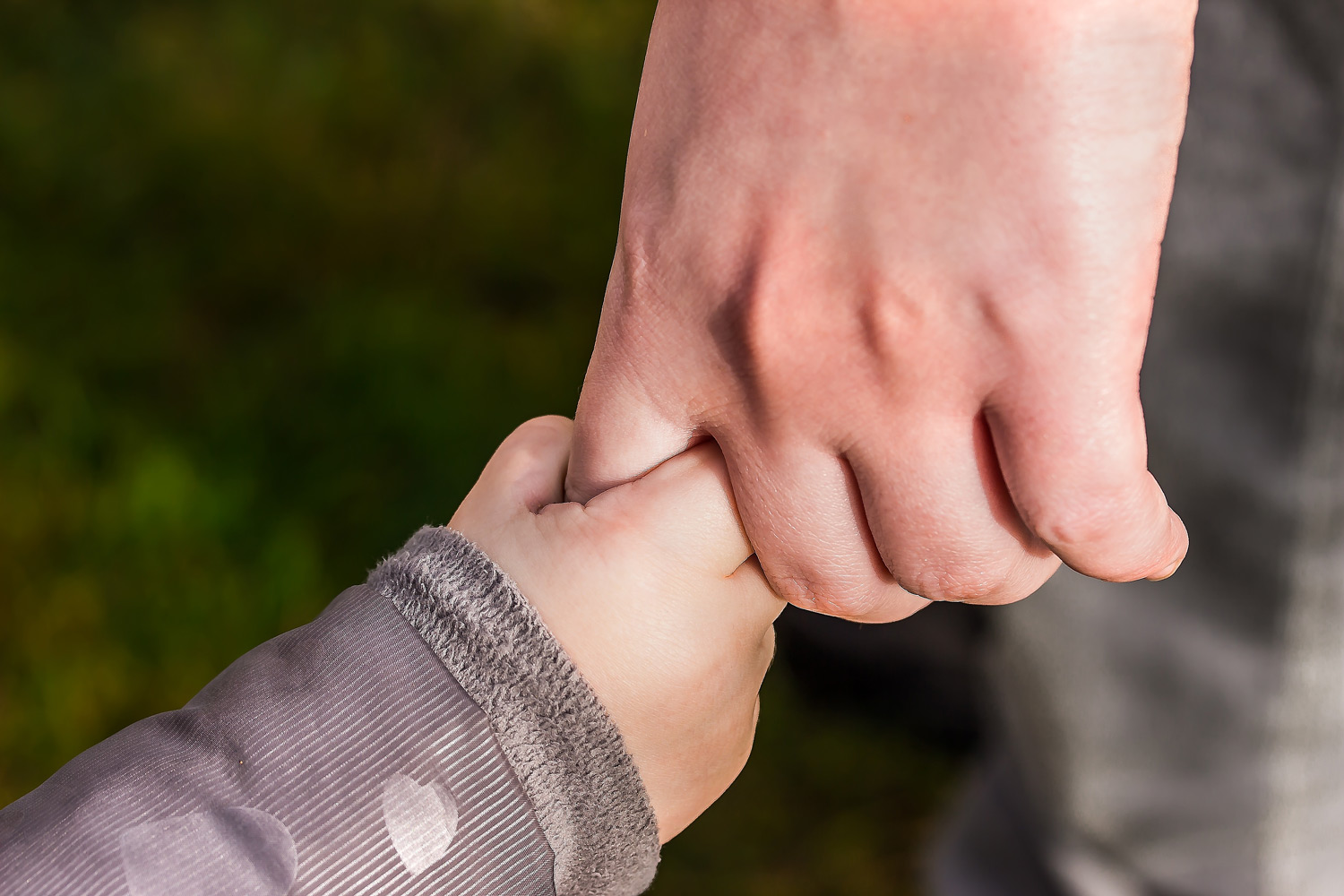 a parent and child holding hands