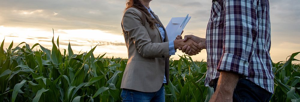 A woman practicing agricultural law shaking hands with a man in a corn field