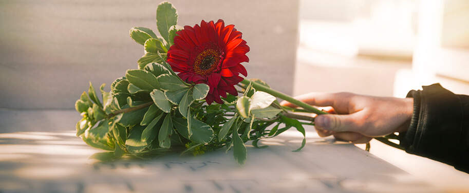A person is holding a bouquet of flowers on a grave