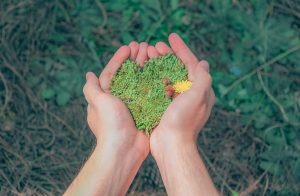 How to Get a PFA in Pennsylvania