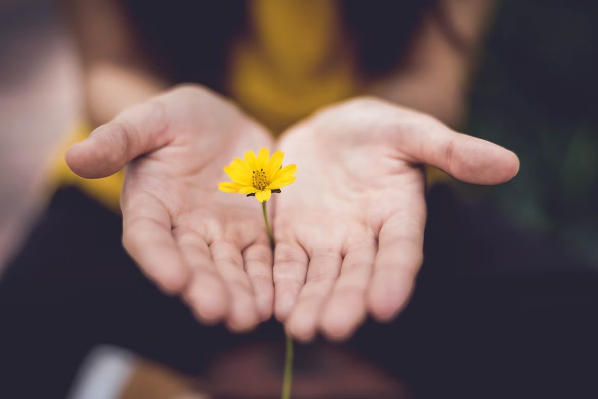 Focus on Safety, Healing, and Due Process